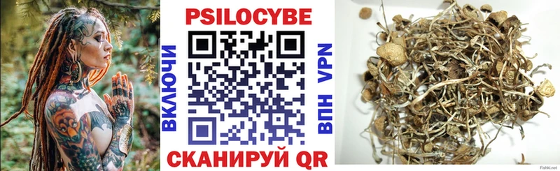 как найти закладки  Зубцов  дарк нет как зайти  Псилоцибиновые грибы GOLDEN TEACHER 