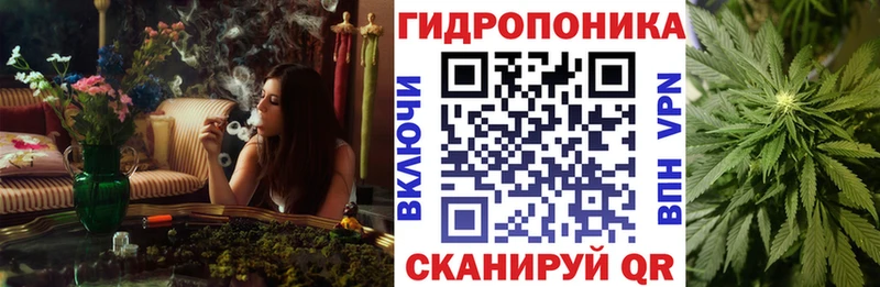 мега ссылки  Зубцов  Конопля план 